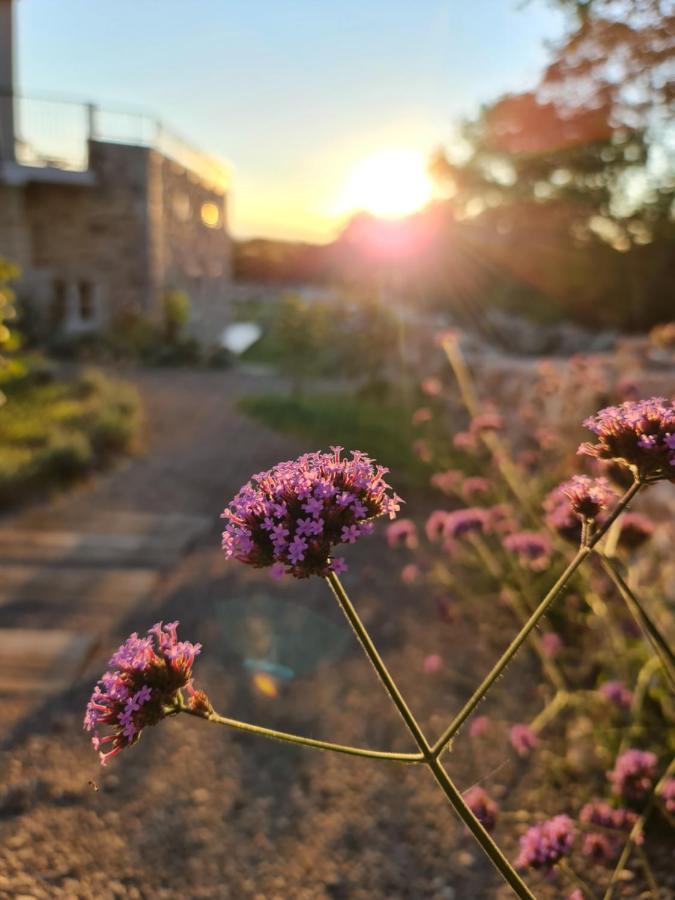 Boutique Resort Osma - Adults Only Malinska Buitenkant foto