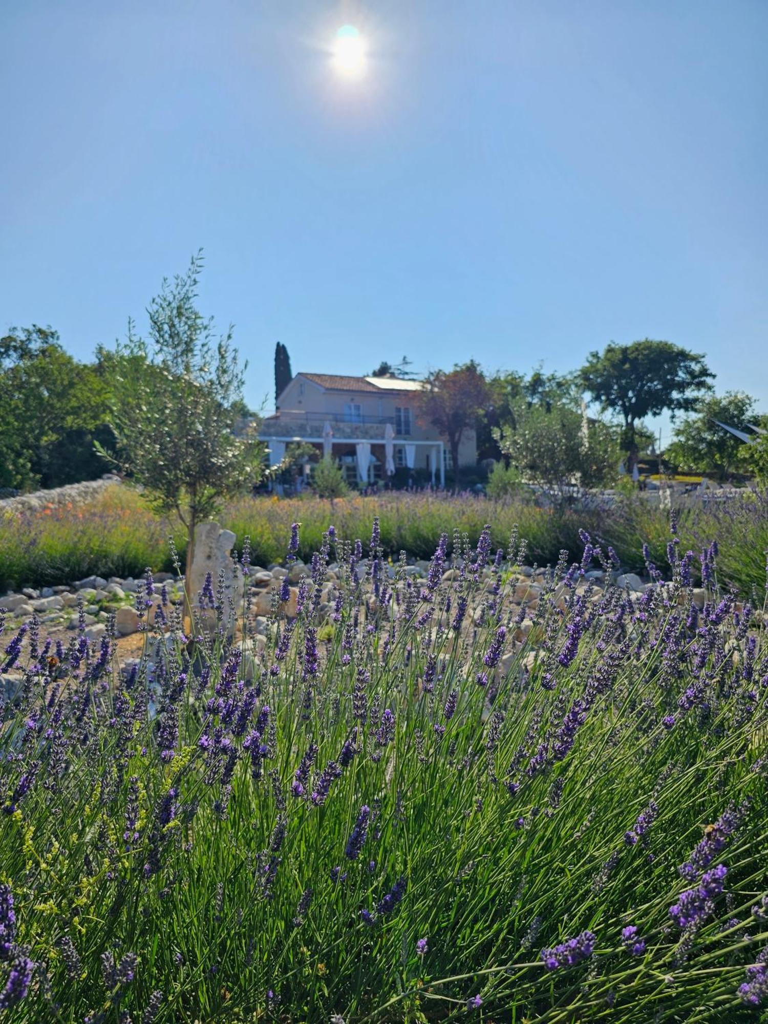 Boutique Resort Osma - Adults Only Malinska Buitenkant foto